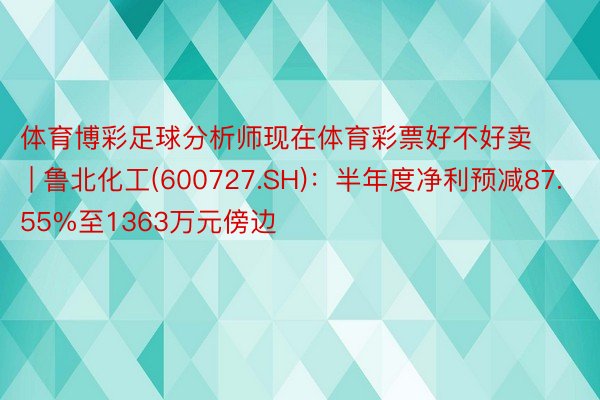 体育博彩足球分析师现在体育彩票好不好卖 | 鲁北化工(600727.SH)：半年度净利预减87.55%至1363万元傍边