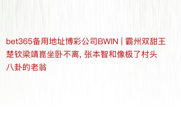 bet365备用地址博彩公司BWIN | 霸州双甜王楚钦梁靖崑坐卧不离, 张本智和像极了村头八卦的老翁